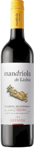 Mandriola de Lisboa Tinto Jg. 2023