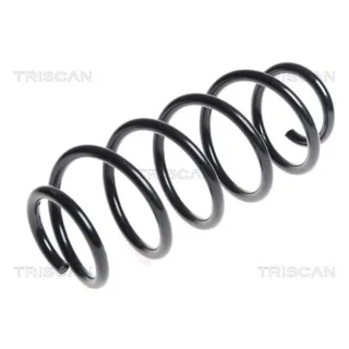 Triscan Feder hinten Toyota Iq