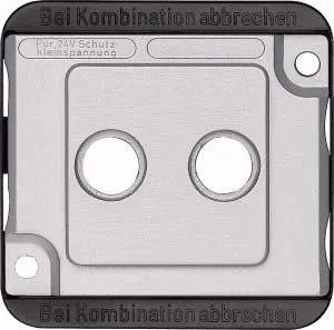 Zentralplatte für Antennensteckdosen, matt, PANZER silber (matt)