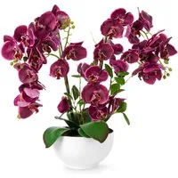 Kunstorchidee PASCH® XXL Orchidee künstlich wie echt (56cm) in Hochglanz-Keramiktopf Orchidee, PASCH