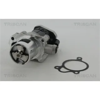 Triscan AGR-Ventil Mercedes Sprinter 881323010
