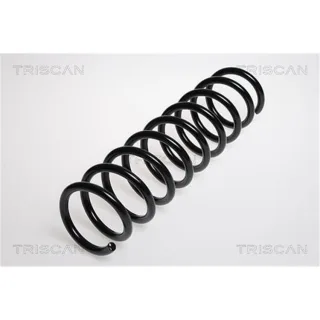 Triscan Feder hinten BMW 5er E39 87501134