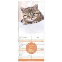 Wandkalender Kätzchen 2027