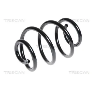 Triscan Feder hinten Renault Twingo 2