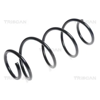 Triscan Feder vorne Renault Clio Modus 875025124