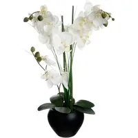 Kunstpflanze Zimmerpflanze, Atmosphera Créateur d'intérieur, Höhe 53 cm