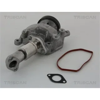 Triscan AGR-Ventil Mercedes Sprinter V-Klasse Vito 2,2 881323023