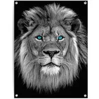 Reinders! Poster Löwe mit blaue Augen, Outdoor für Garten oder Balkon