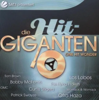 Die Hit Giganten-One Hit Wonder [Audio CD] Various
