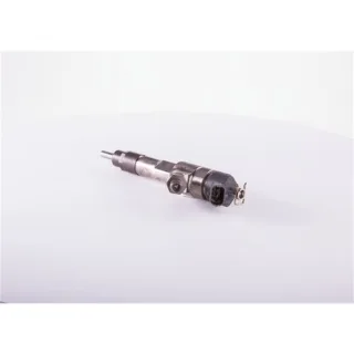 Bosch Einspritzd?se Citroen Fiat Iveco Peugeot Renault