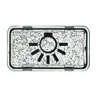Tastersymbol Licht 2622 LI-101, Schalter Retail