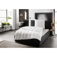 billerbeck Microfaserbettdecke Liliane, Bettdecke 135x200, 155x220 cm, Decke für Hausstauballergiker, Füllung: 100% Polyester-Hohlfaser, Bezug: 100% Baumwolle, Faserdecke mit moderner Körperformsteppung