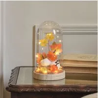 Lights4fun LED Dekolicht LED-Herbstdeko Kürbis-Glasglocke mit Timer & 15 Mikro-LEDs