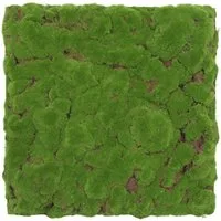 JANGAL 3D Wandpaneel Modular Wall Akustikpaneel, Die Holz- und Steinoberflächen sind aus Echtholz- und Echtsteinfurnier