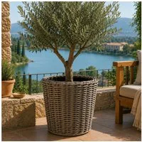 Van der Leeden Blumentopf 50x52cm Rattan Weide Sylter Korb Drypot 40L (Stück, 1 St., Packung), Indoor & Outdoor, Rattan, 40 L, Naturprodukt, incl. Kunststoffeimer