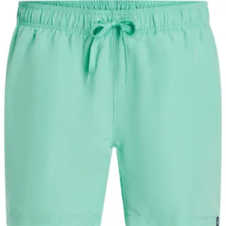 HERREN BADESHORTS KEN IV M (431248-665)