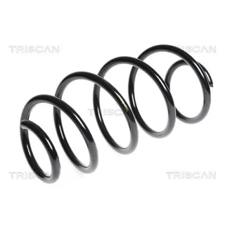 Triscan Feder vorne Ford Mondeo 4 875016065