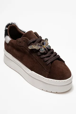 Braun