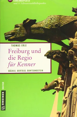 Freiburg und die Regio für Kenner: Bächle Bertold Buntsandstein