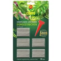Compo Pflanzendünger COMPO Düngestäbchen Grünpflanzen und Palmen (30 Stk)