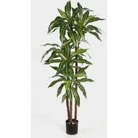 Kunstbaum Deko Dracaena Fragrans Staude, weiß - grün, 150cm Dracaena (Dracaena fragrans), artplants, Höhe 150.0 cm