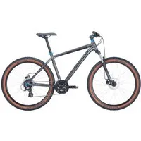 Bulls Wildtail 2 29'' silber 2025