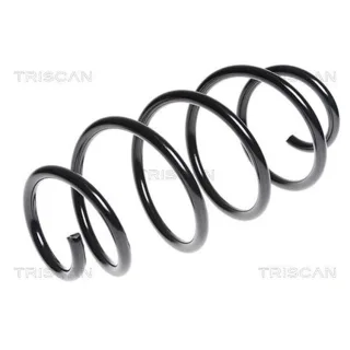 Triscan Feder vorne Ford Mondeo 4 875016064