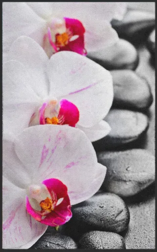 Fussmatte Orchidee 7120 | Größe: 60 cm x 90 cm