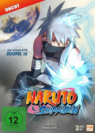 Naruto Shippuden - Die komplette Staffel 16 uncut! (Kakashi Anbu Arc Folgen 569-581) [DVD]