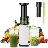 HOMELUX Slow Juicer Kleiner Entsafter Sicherheitsverriegelung, Mini, kompakt, 120 W, Geräuscharm, mit Easy-Clean Konzept, 120 W