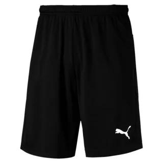 Puma LIGA Training Shorts 655316