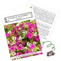 HappySeed Blumensamen Blumensamen Balkonkasten Mischung - Petunien Mix, Blumen