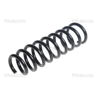 Triscan Feder hinten Hyundai Ix35 Kia Sportage 875043138