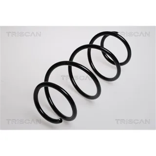 Triscan Feder vorne Renault Laguna 2