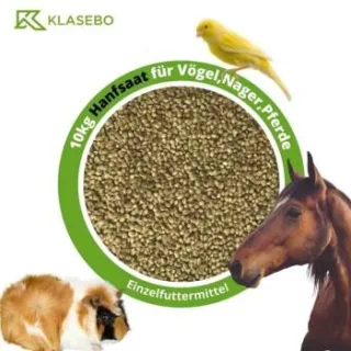 KLASEBO Hanfsaat, Hanfsamen, Futterhanf 10kg für Vögel, Nager und Pferde