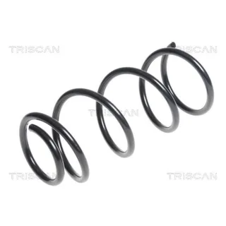 Triscan Feder hinten Chevrolet Spark