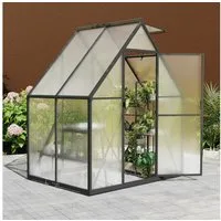 FIVMEN Gewächshaus ALU mit Fundament rostfrei BxTxH: 180 x 125 x 195 cm, Premium Gartengewächshäuser Aluminium mit 6 cm Fundament, Premium Gartengewächshäuser Aluminium mit 6 cm Fundament