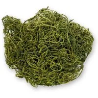 NaDeco Bastelnaturmaterial Curly Moos Moosgrün, 200g