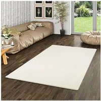 Snapstyle Hochflor-Teppich Hochflor Luxus Velours Teppich Touch, Rechteckig, Höhe: 21 mm