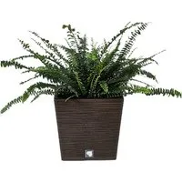 INtrenDU Gartenfigur Blumentopf braun 24cm x 24cm, (2 St., Innentopf + Übertopf), wetterfest