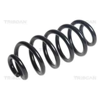 Triscan Feder hinten Nissan Qashqai Renault Kadjar 1,6