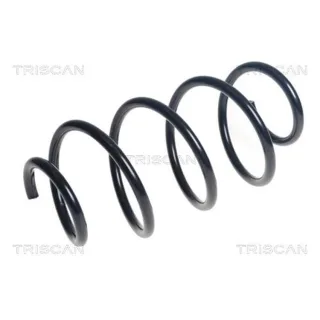 Triscan Feder vorne Hyundai Tucson 1,6 875043154