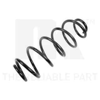 NK Feder hinten Peugeot 207 1,6