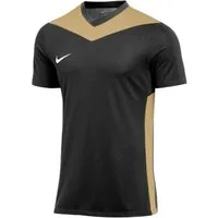 Nike Fußballtrikot Nike Performance Park Derby IV Trikot Kids Teamsport