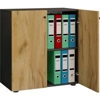 VCM Aktenschrank Büroschrank Bücher Ordner Aktenschrank Lona 2fach (1-St) 70x74x40cm Aktenschrank, Aufbewahrung, Bücher