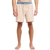 Billabong Boardshorts Ty Williams