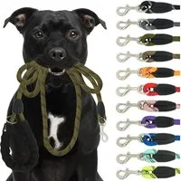 Reichstadt Hundeleine RS Pets Führleine Nylon 25RSP084, Nylon, Ergonomischer EVA-gepolsterter Griff für Blasenschutz