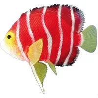 Nobby Aquariendeko Aquariendekoration Skalar