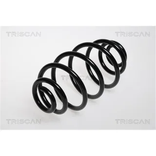 Triscan Feder hinten Opel Astra H 875024051