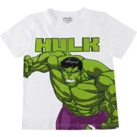 The AVENGERS Print-Shirt Hulk Kinder Shirt Baumwolle Kurzarm Oberteil Freizeit Kleidung